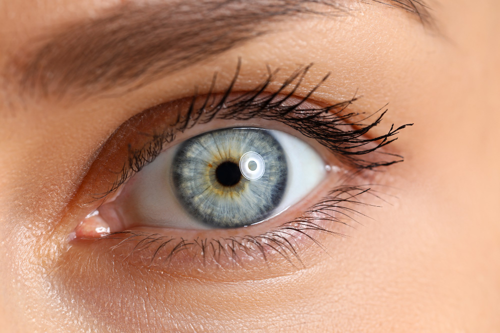 Ophthalmologist In Grand Junction, CO